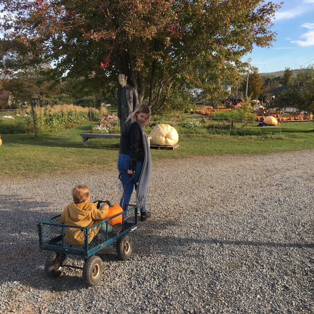 Meet your Posher, Katelyn